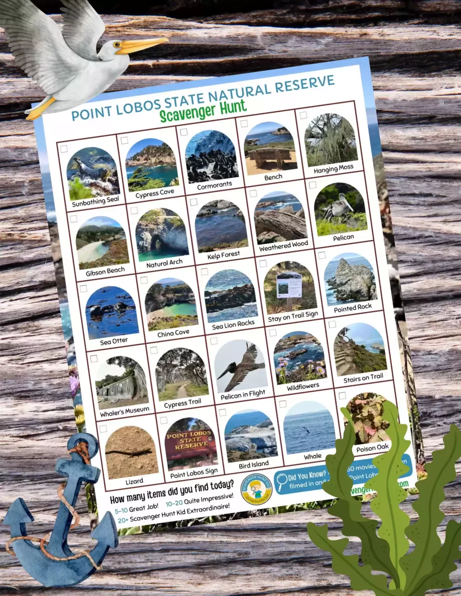 point lobos scavenger hunt