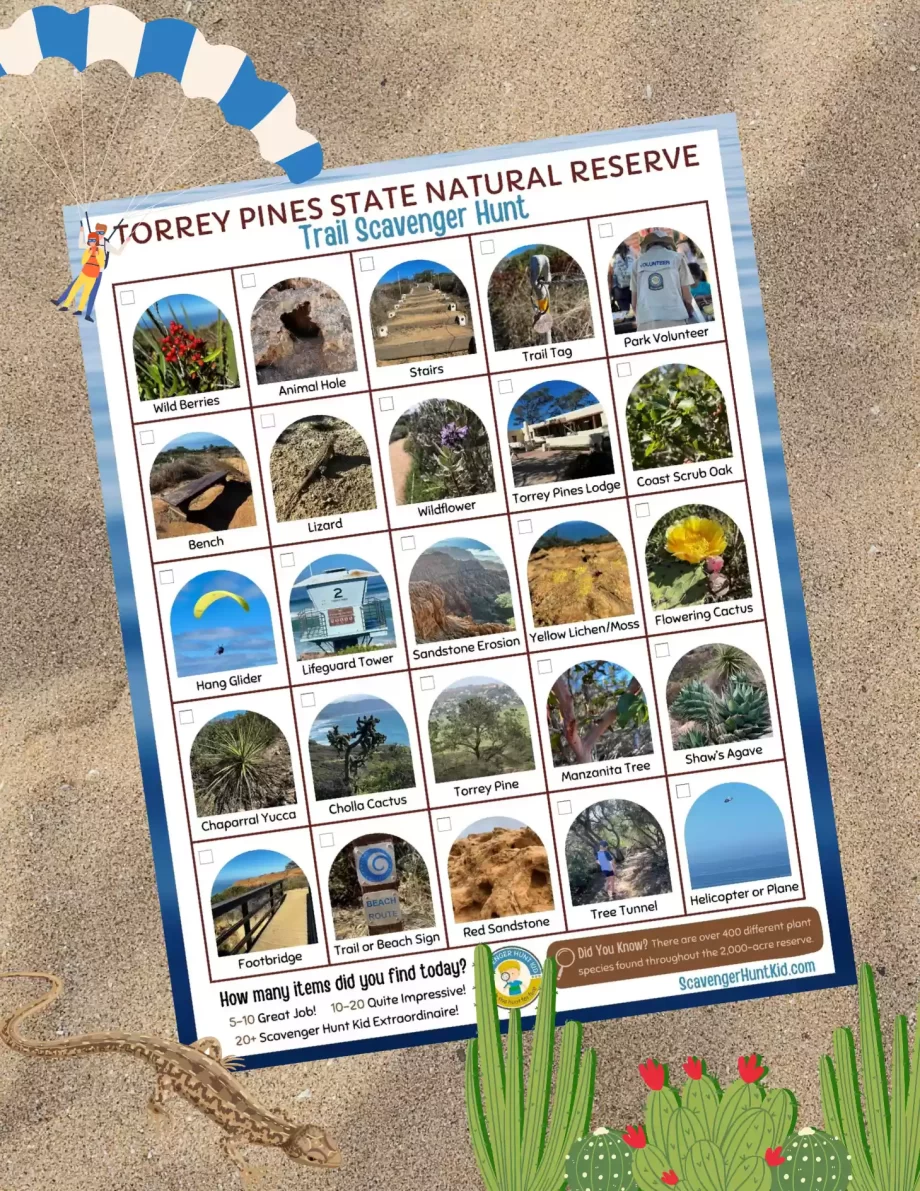 torrey pines state natural reserve scavenger hunt